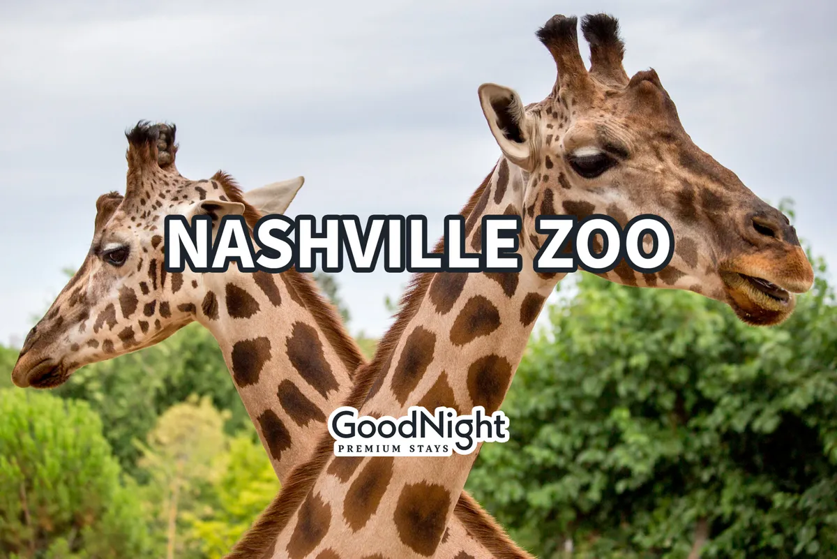 A joyful exterior shot featuring two giraffes among lush greenery, evoking a playful and educational atmosphere. The image captures the excitement of observing wildlife, making it an ideal visual for a zoo adventure.